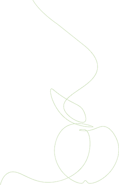 shape-img